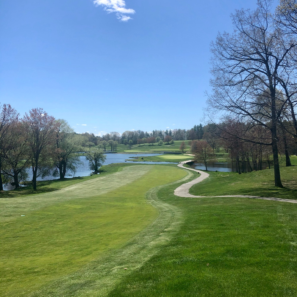 golf-gallery-6